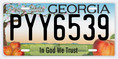 GA license plate PYY6539