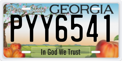 GA license plate PYY6541