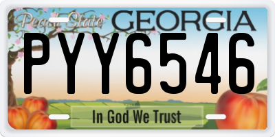 GA license plate PYY6546