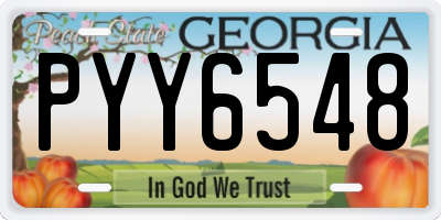 GA license plate PYY6548