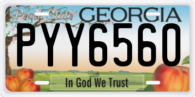 GA license plate PYY6560