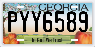 GA license plate PYY6589