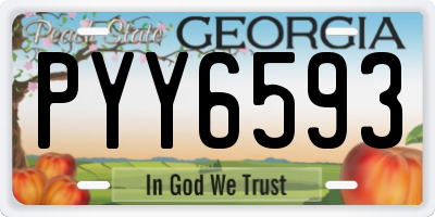 GA license plate PYY6593