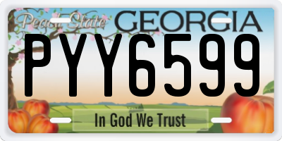 GA license plate PYY6599