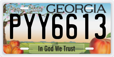 GA license plate PYY6613