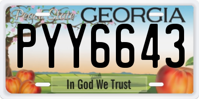 GA license plate PYY6643