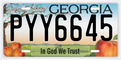 GA license plate PYY6645