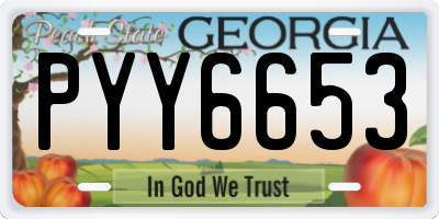 GA license plate PYY6653
