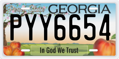 GA license plate PYY6654