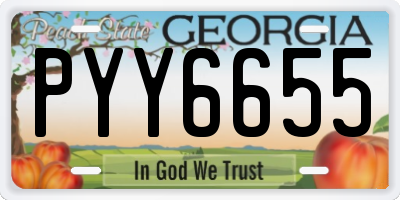 GA license plate PYY6655
