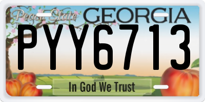 GA license plate PYY6713