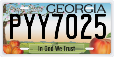GA license plate PYY7025