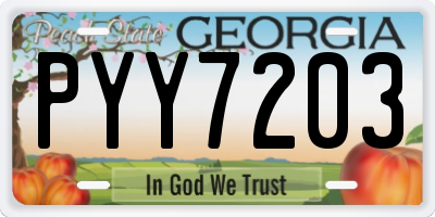 GA license plate PYY7203