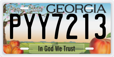 GA license plate PYY7213