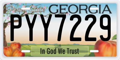 GA license plate PYY7229