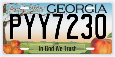GA license plate PYY7230