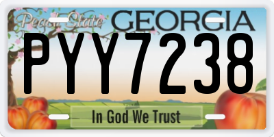 GA license plate PYY7238