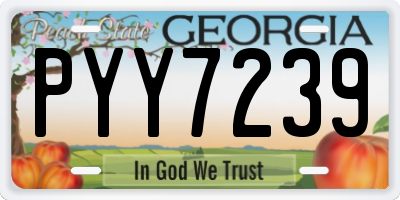 GA license plate PYY7239