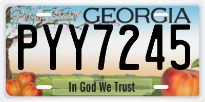 GA license plate PYY7245