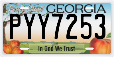 GA license plate PYY7253