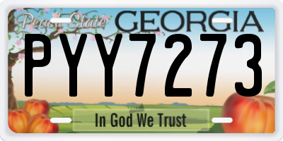 GA license plate PYY7273