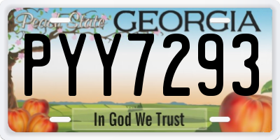 GA license plate PYY7293