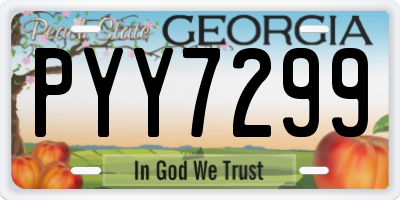 GA license plate PYY7299