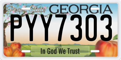 GA license plate PYY7303