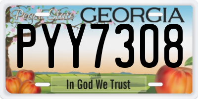 GA license plate PYY7308