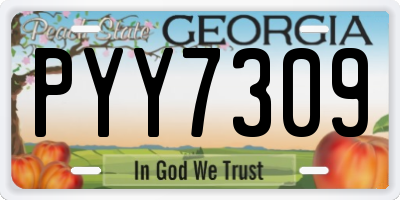 GA license plate PYY7309