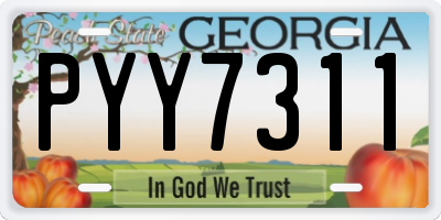 GA license plate PYY7311