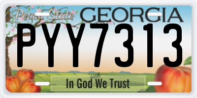 GA license plate PYY7313