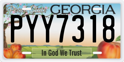 GA license plate PYY7318