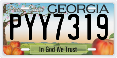 GA license plate PYY7319