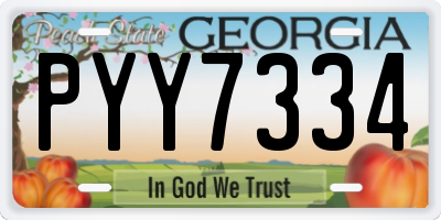 GA license plate PYY7334