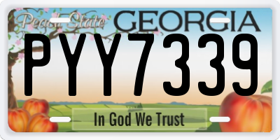 GA license plate PYY7339