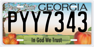 GA license plate PYY7343