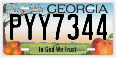 GA license plate PYY7344