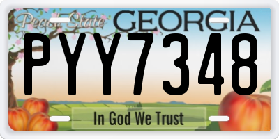 GA license plate PYY7348