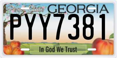 GA license plate PYY7381