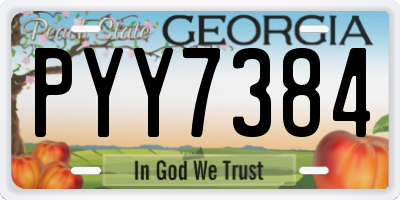GA license plate PYY7384