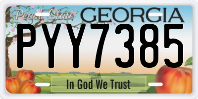 GA license plate PYY7385