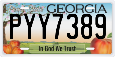 GA license plate PYY7389