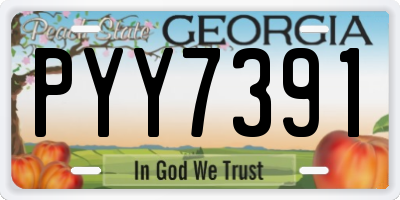 GA license plate PYY7391