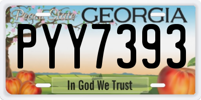 GA license plate PYY7393