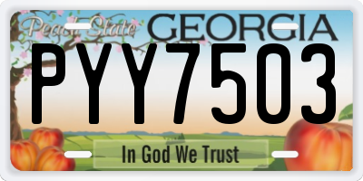 GA license plate PYY7503