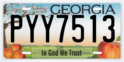 GA license plate PYY7513