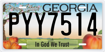 GA license plate PYY7514