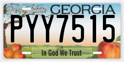 GA license plate PYY7515