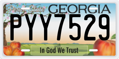 GA license plate PYY7529